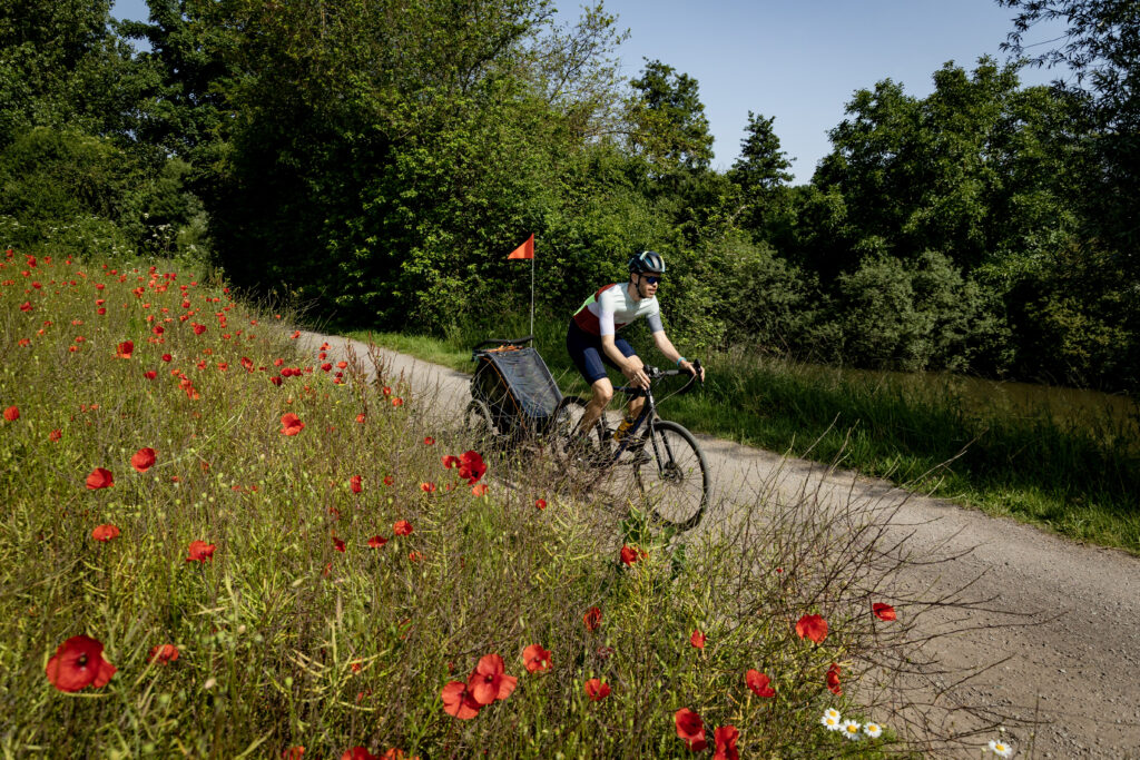 Konstantin (aka The Cycling Dad) pulling double-wheeled Qeridoo Kidgoo 1 trailer on off-road gravel path alondside a poppy field
